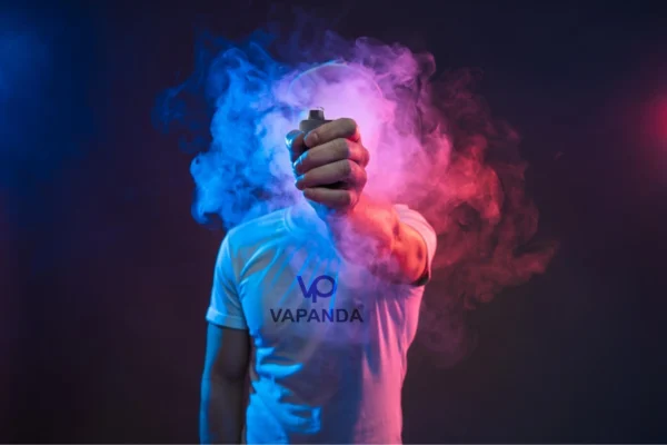 Vapanda Pulse - 20 000 Puff Disposable Vape - Blueberry Watermelon Ice - Image 2