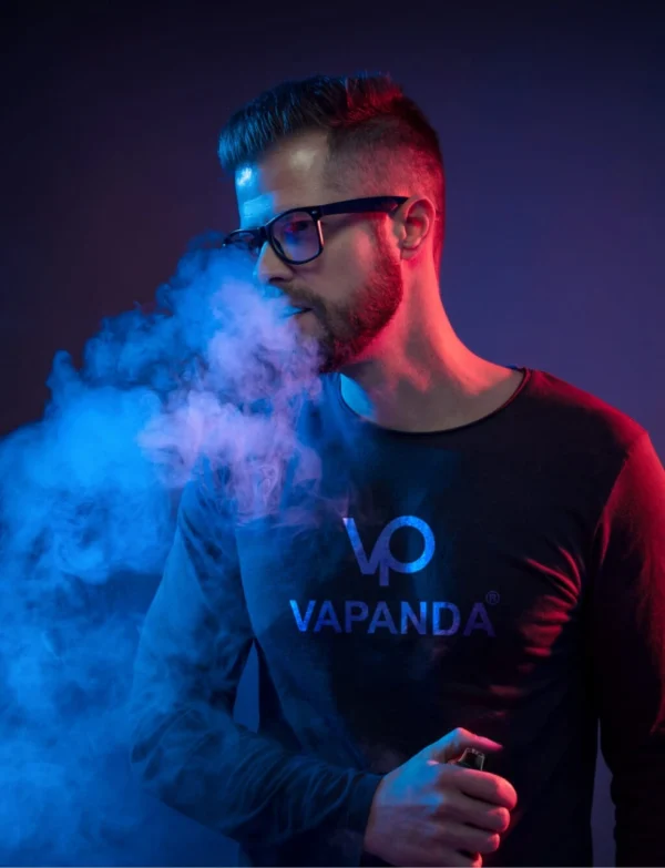 Vapanda Pulse - 20 000 Puff Disposable Vape - Blueberry Watermelon Ice - Image 3